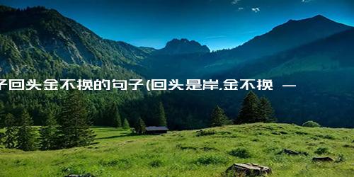 浪子回头金不换的句子(回头是岸，金不换 - 一个浪子的故事)